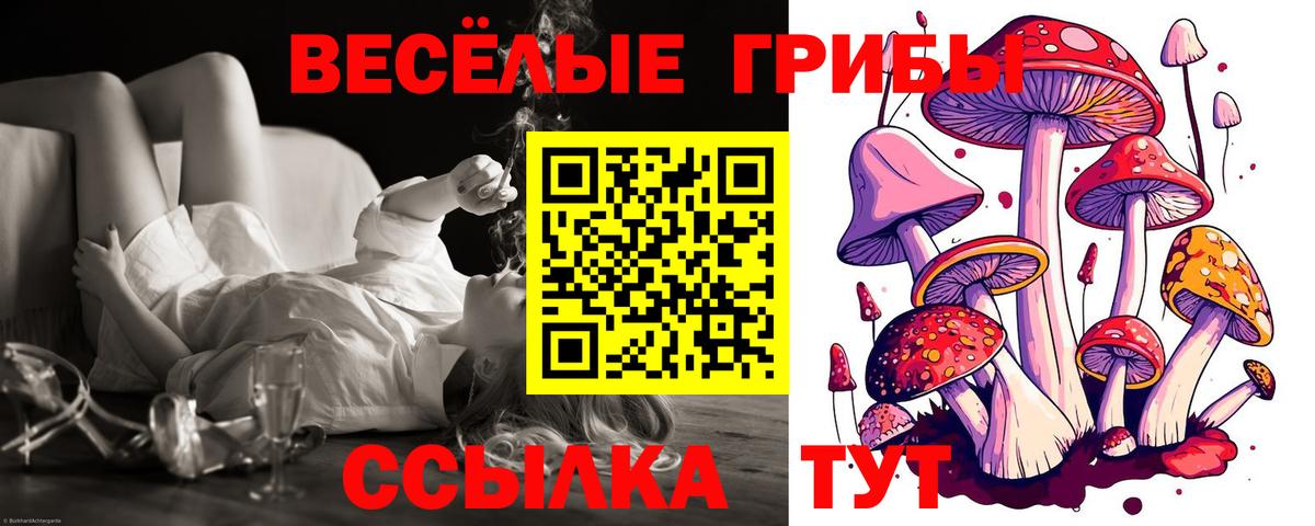 Галлюциногенные грибы ЛСД Тейково